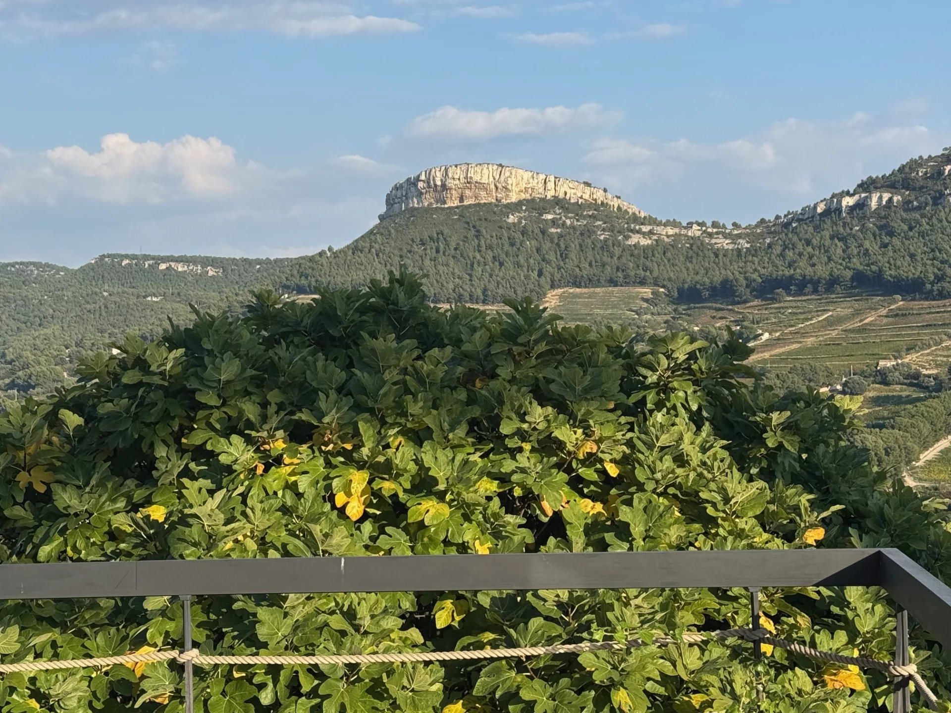Maison à vendre, 280m², Cassis