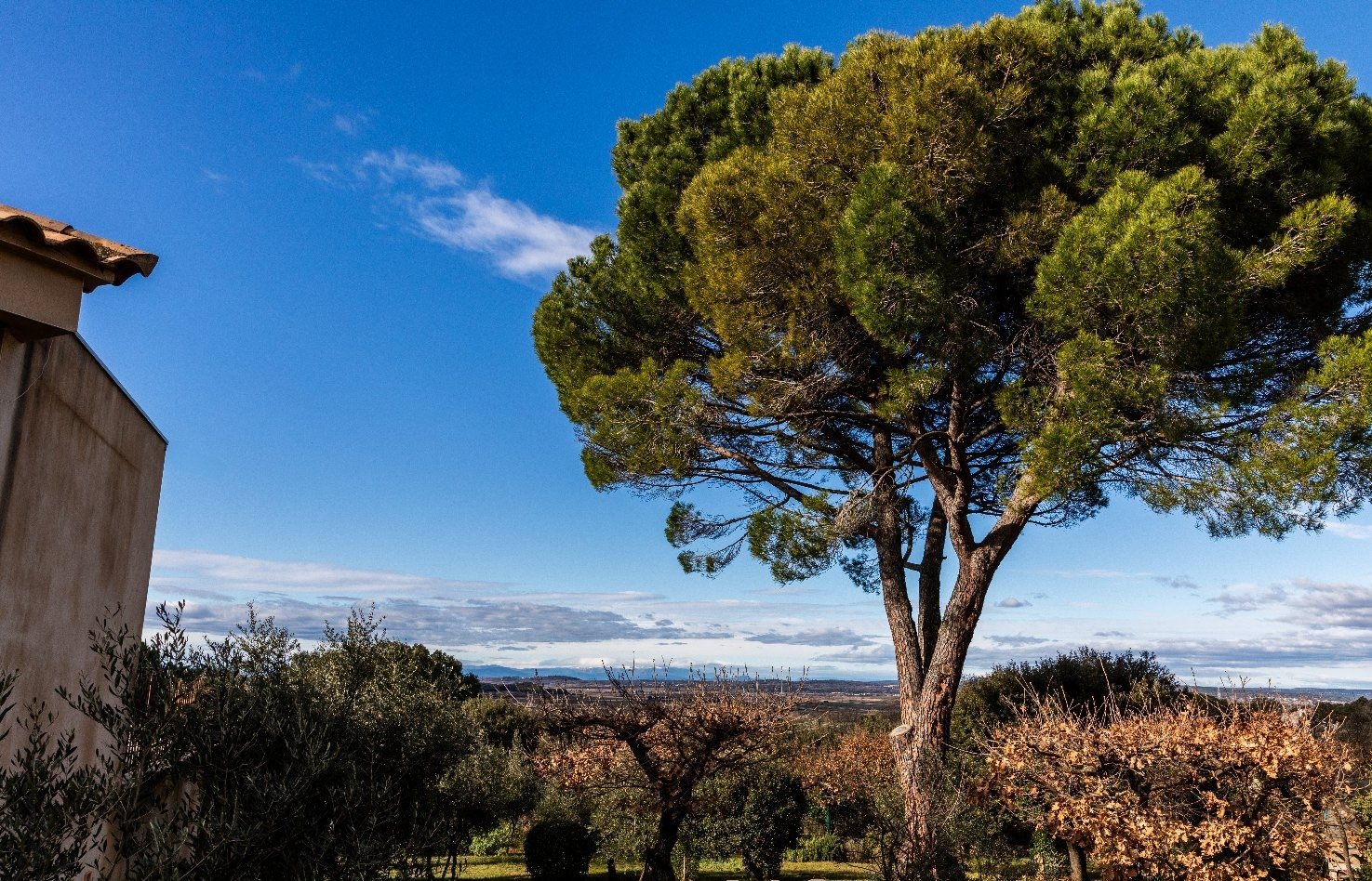 Maison à vendre, 171m², Sainte-Anastasie