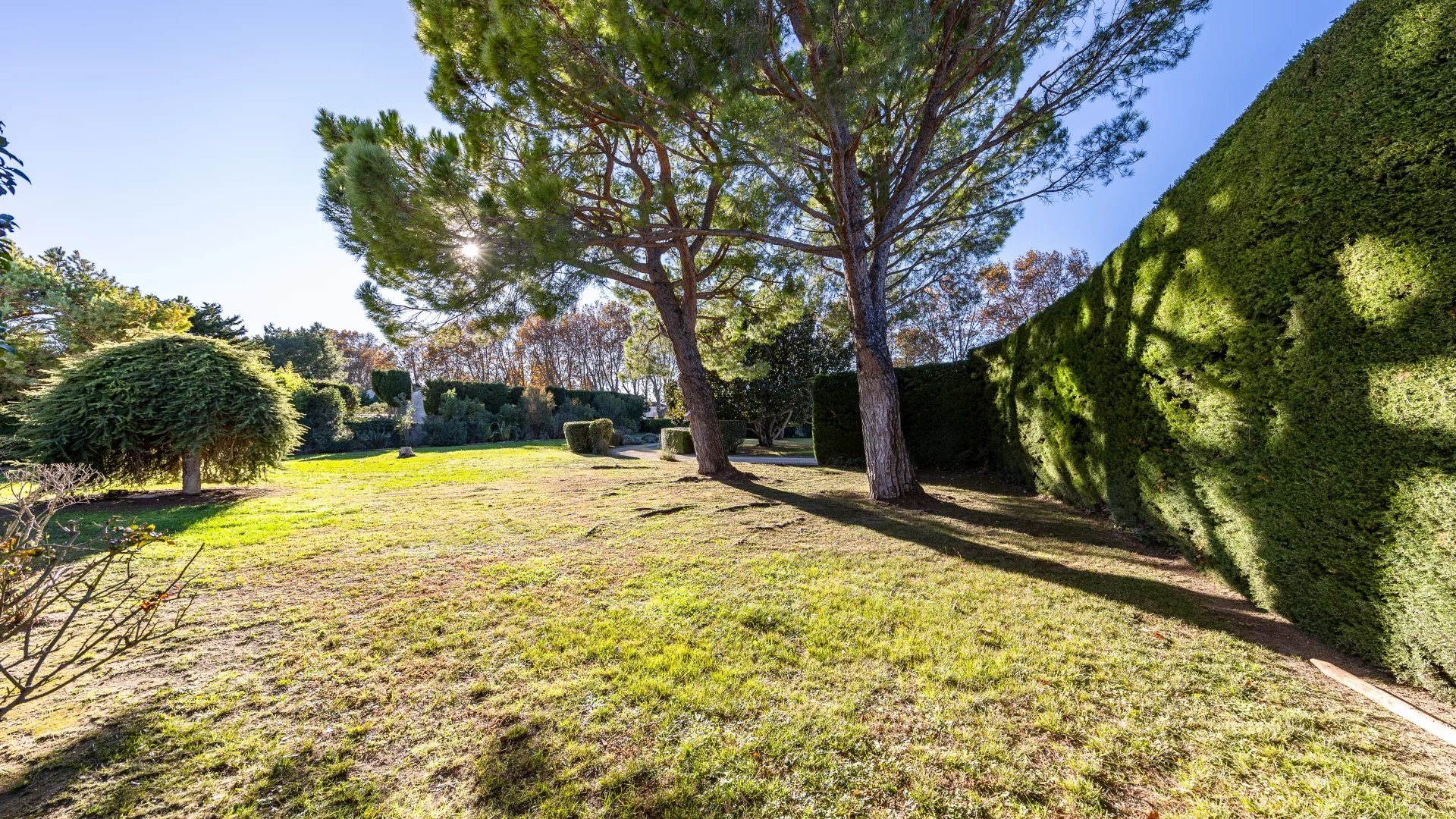 Maison à vendre, 320m², Fontvieille