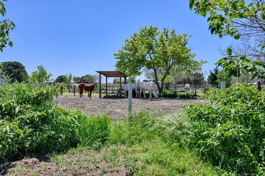 Maison à vendre, 190m², Aigues-Mortes