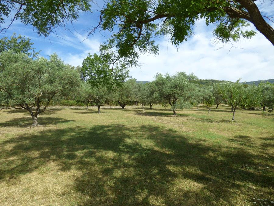 Maison à vendre, 160m², Fayence