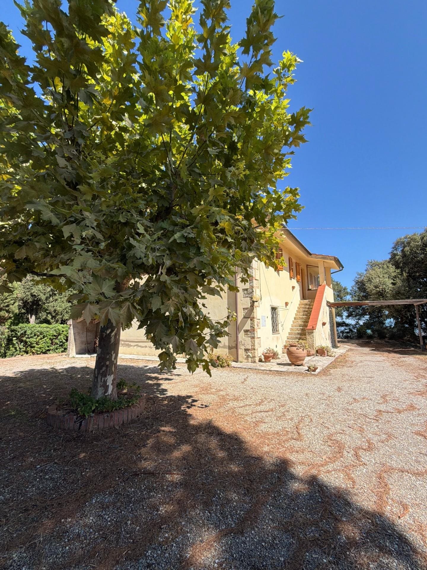 Casciana Terme (Pisa) photo 2