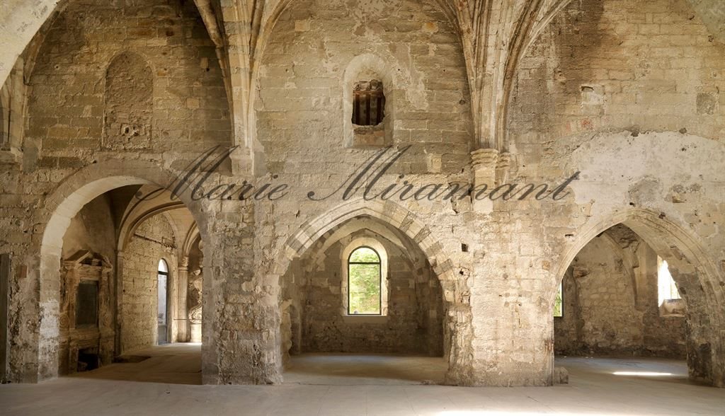 Maison à vendre, 630m², Avignon