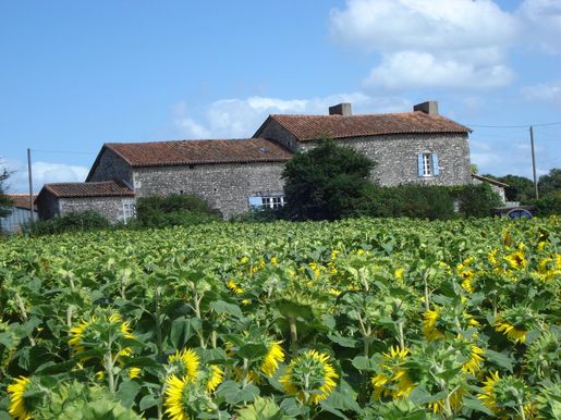Maison 8 pièces 346 m² · à Turgon · 346 m² · 119 900 €