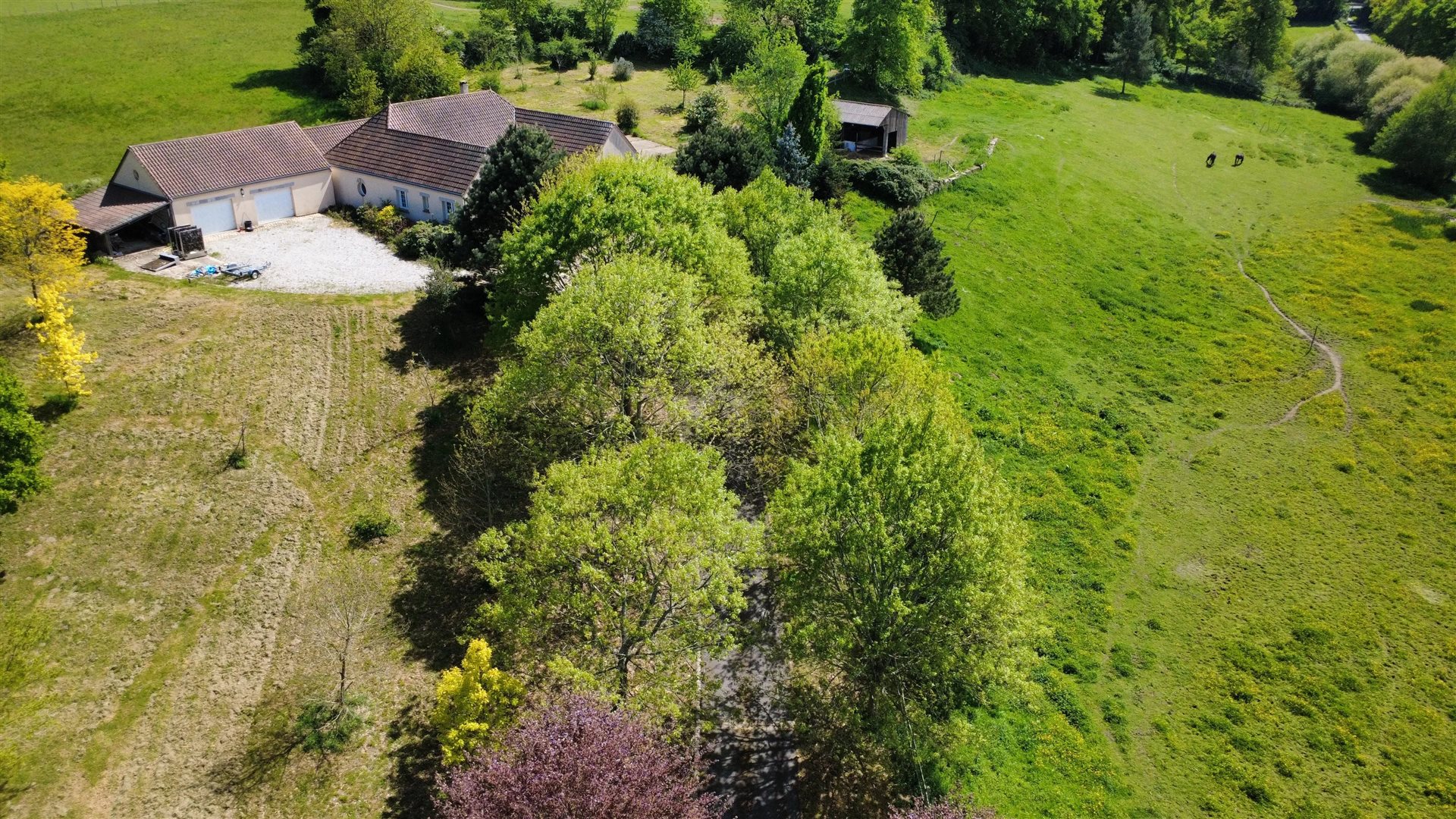 Maison à vendre, 245m², Le Dorat