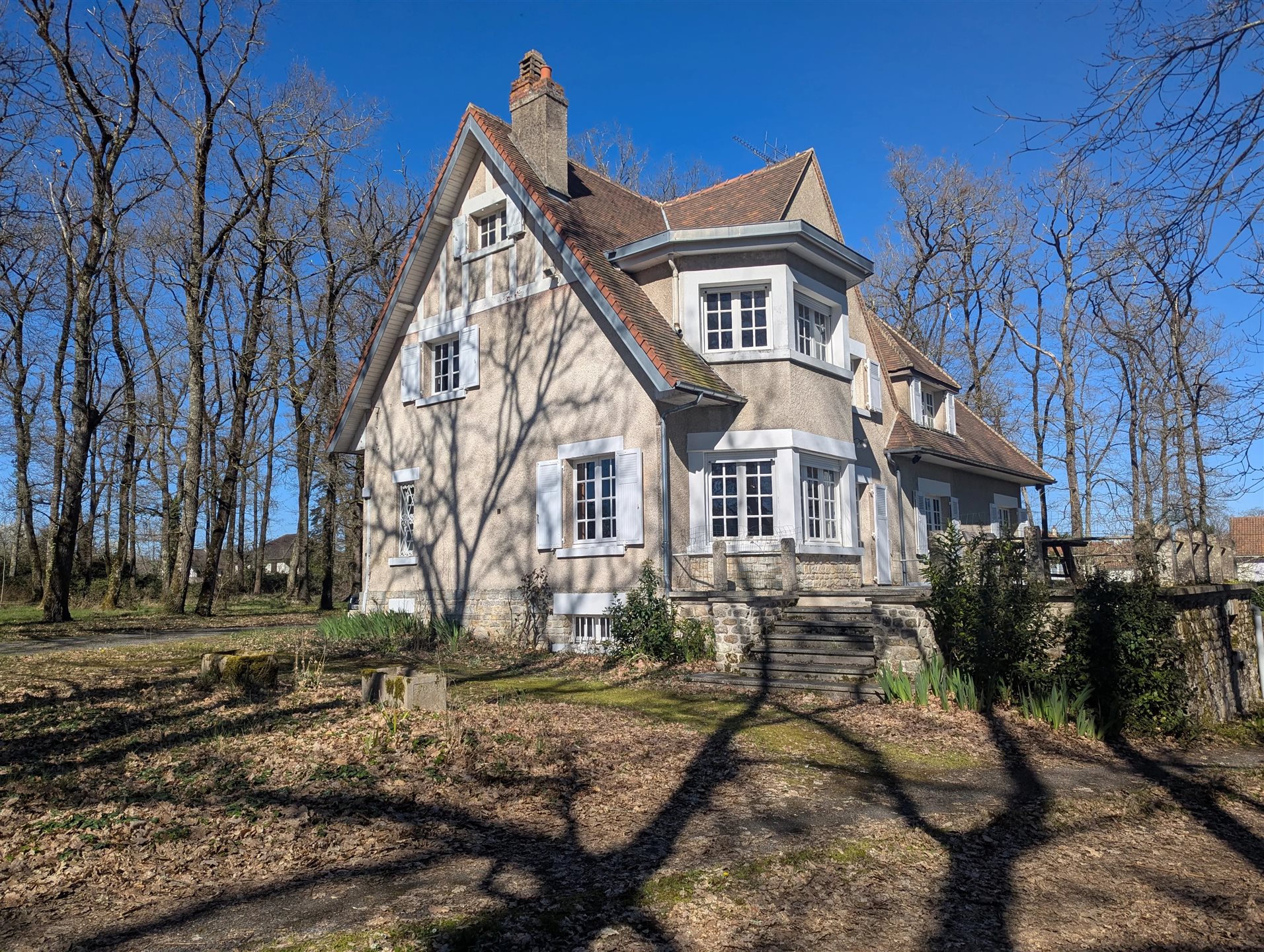 Maison à vendre, 293m², La Trimouille