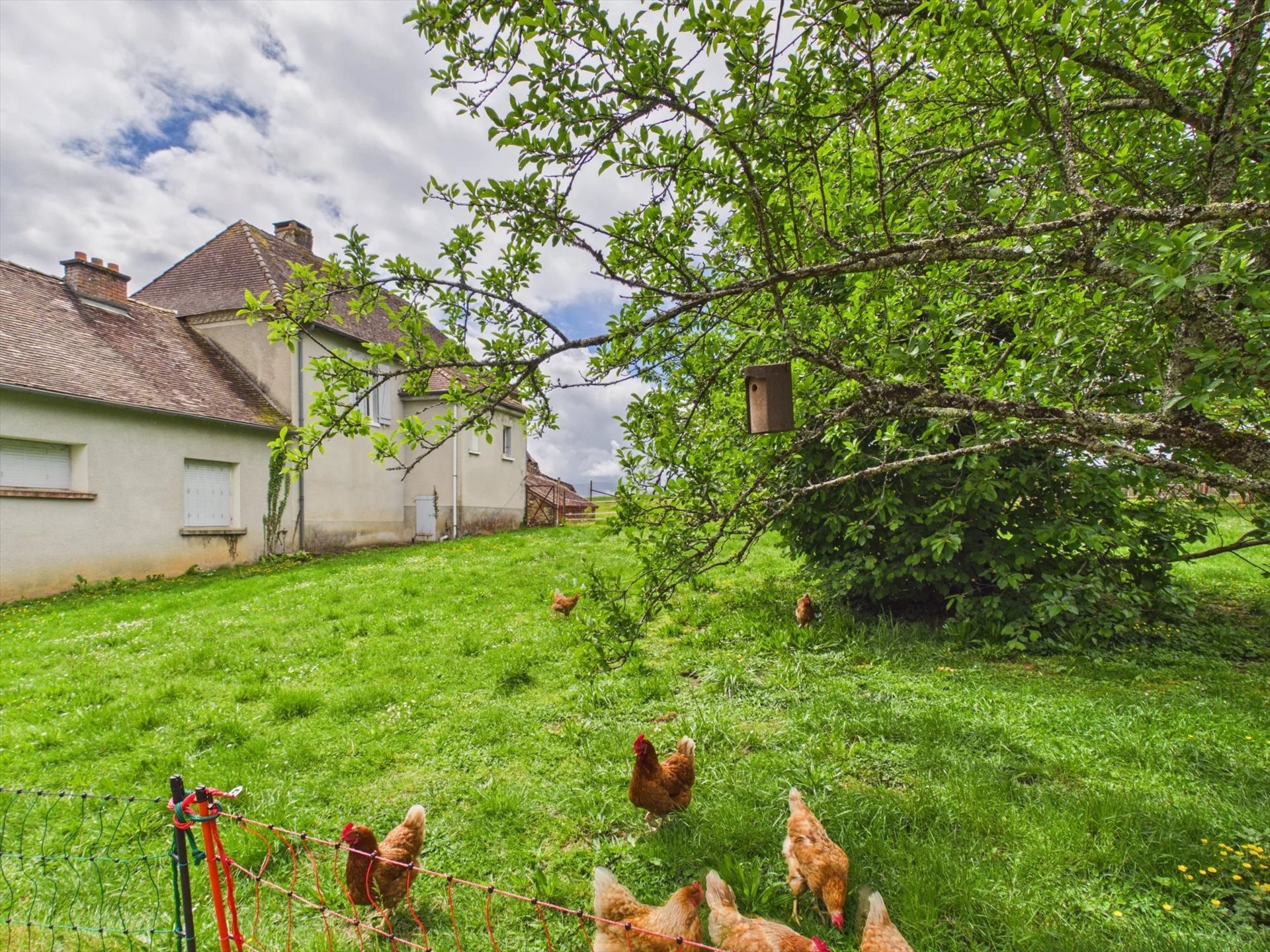 Maison à vendre, 190m², Sarlande
