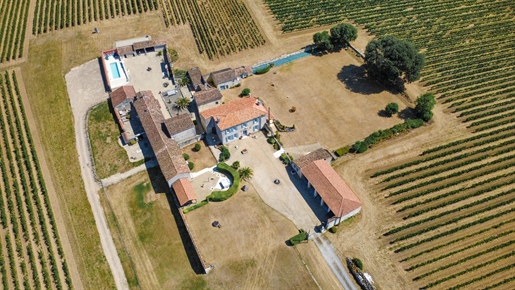Maison 20 pièces 534 m² · à Bouteville · 534 m² · 1 185 000 €