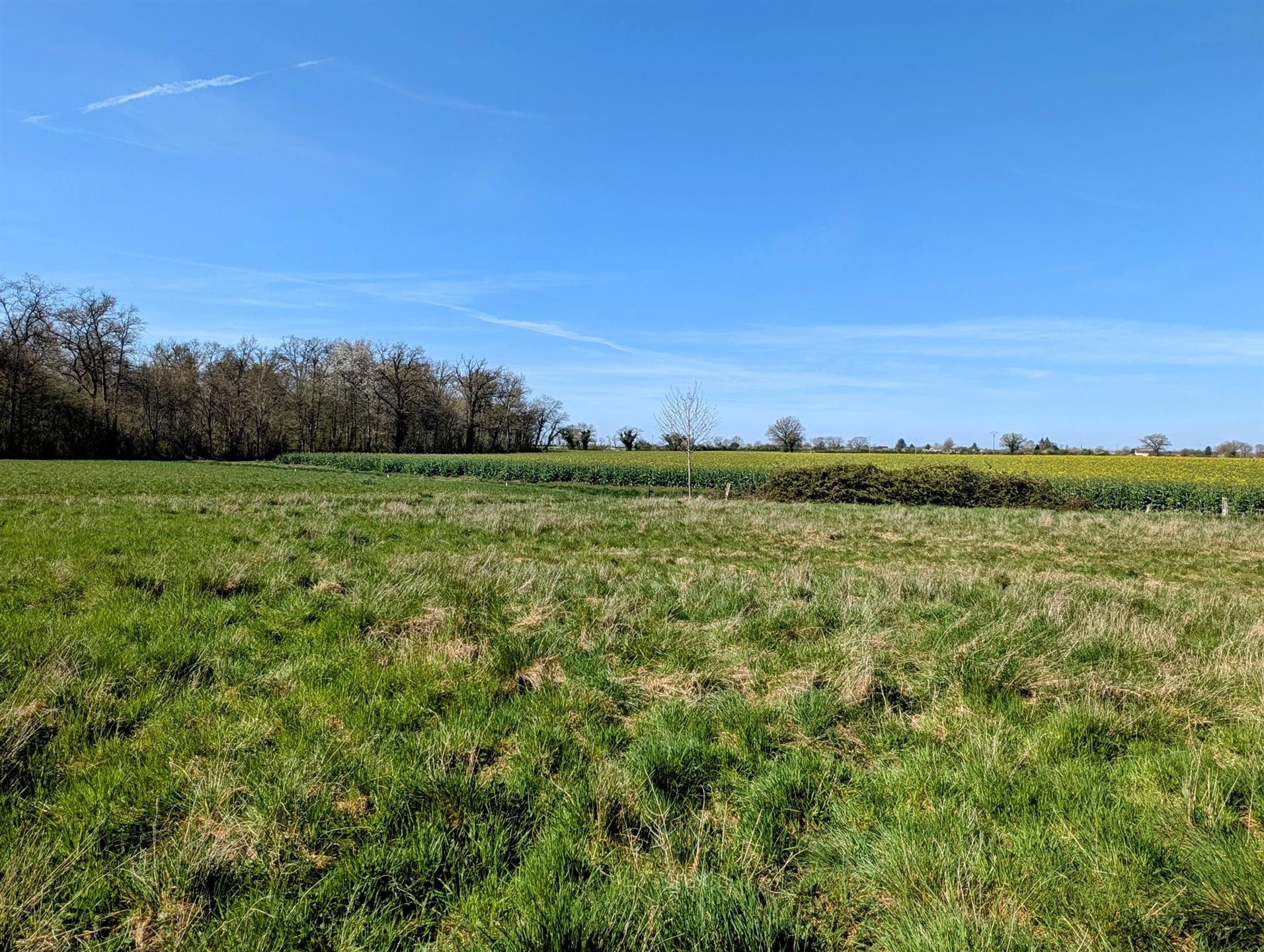 Maison à vendre, 143m², Lent