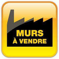 Local commercial 482 m² · à Saint-Georges-des-Coteaux · 482 m² · 742 000 €