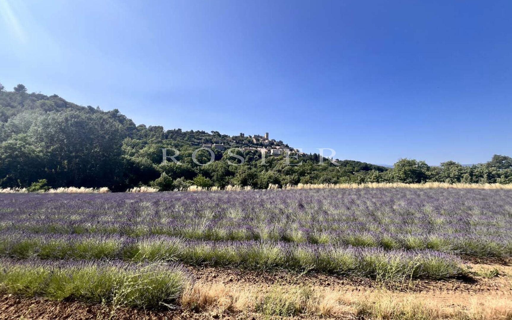 Maison à vendre, 600m², Lacoste