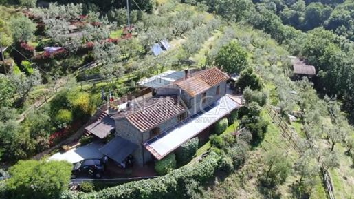 Lamporecchio (Pistoia) photo 2