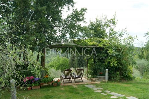 Usigliano (Pisa) photo 2