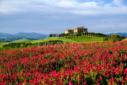 Saline (Pisa) photo 2