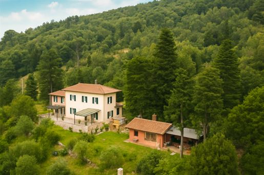 San Giuliano Terme (Pisa) photo 2