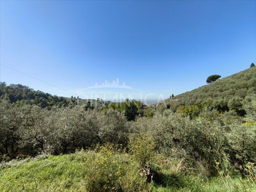 Vinci (Firenze) photo 2