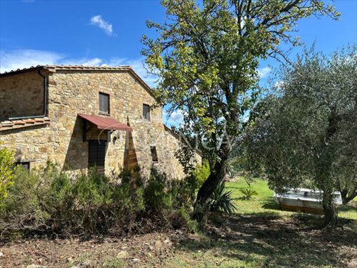 San Dalmazio (Pisa) photo 3