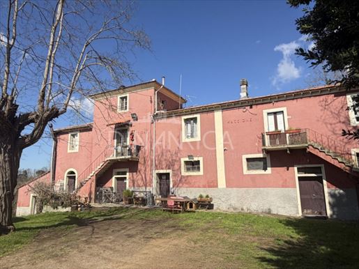 Fauglia (Pisa) photo 2