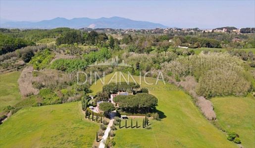 Fauglia (Pisa) photo 2