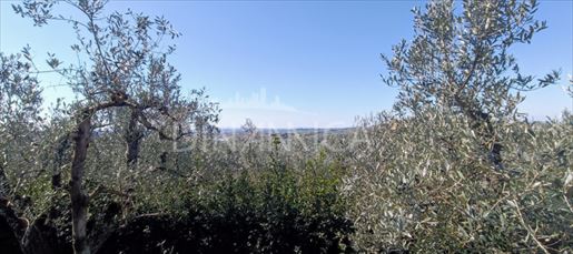 Vinci (Firenze) photo 2