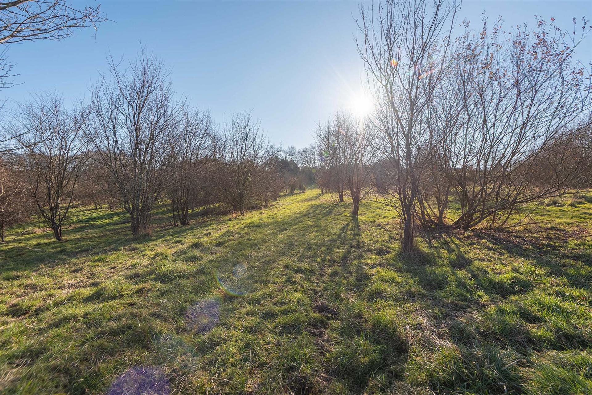 Maison à vendre, 250m², Pompignac