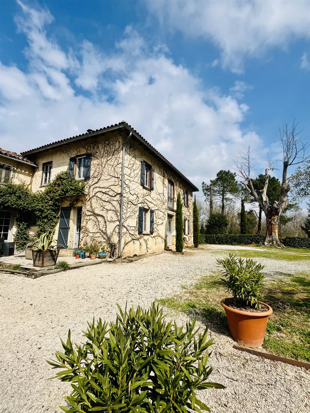 Maison à vendre, 255m², L'Isle-en-Dodon