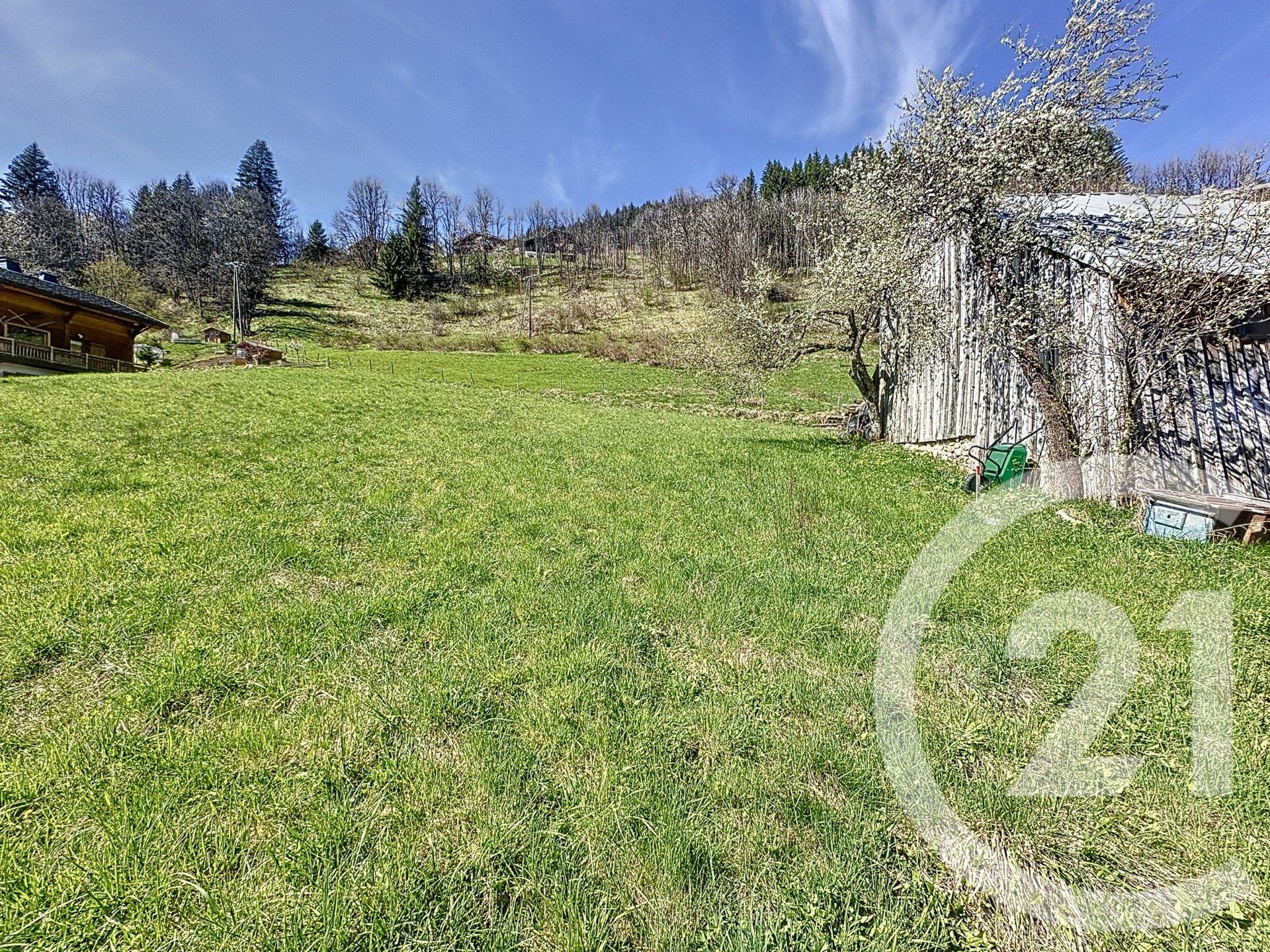 Purchase: Land (74110) - Vue 2