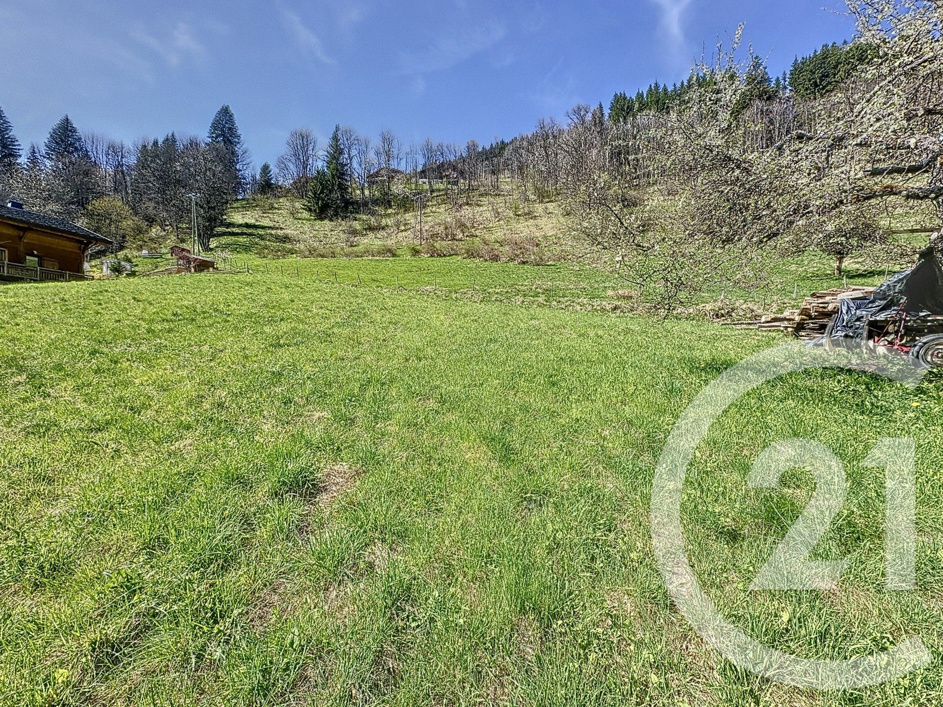 Purchase: Land (74110) - Vue 3