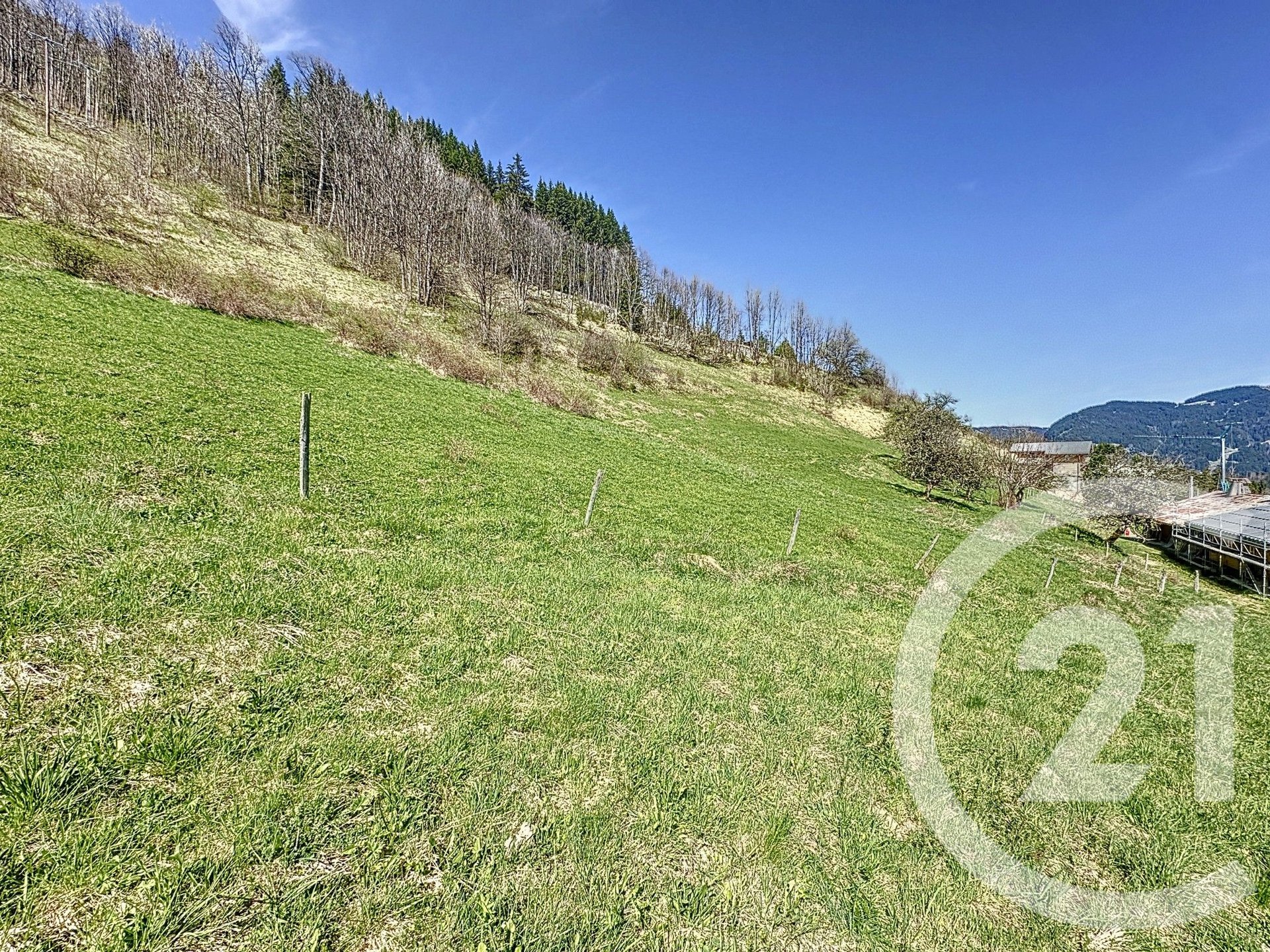 Purchase: Land (74110) - Vue 4