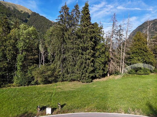 Terrain 745 m² · à Montriond · 350 000 €
