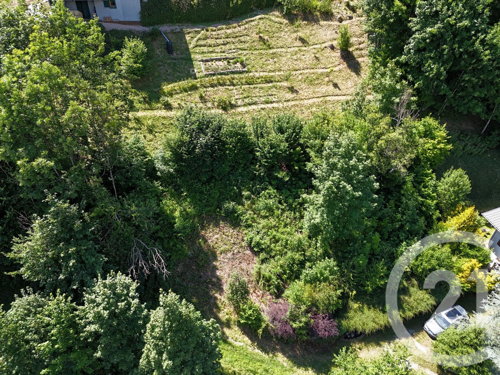 Purchase: Land (74110) - Vue 2