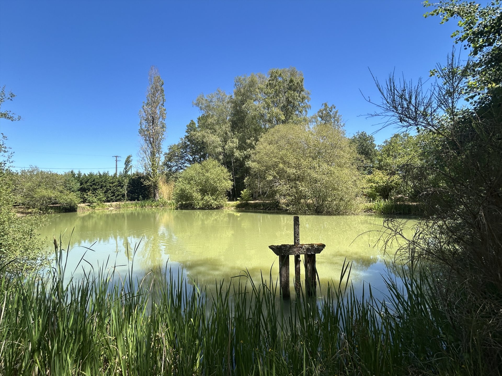 Maison à vendre, 200m², Sully-sur-Loire