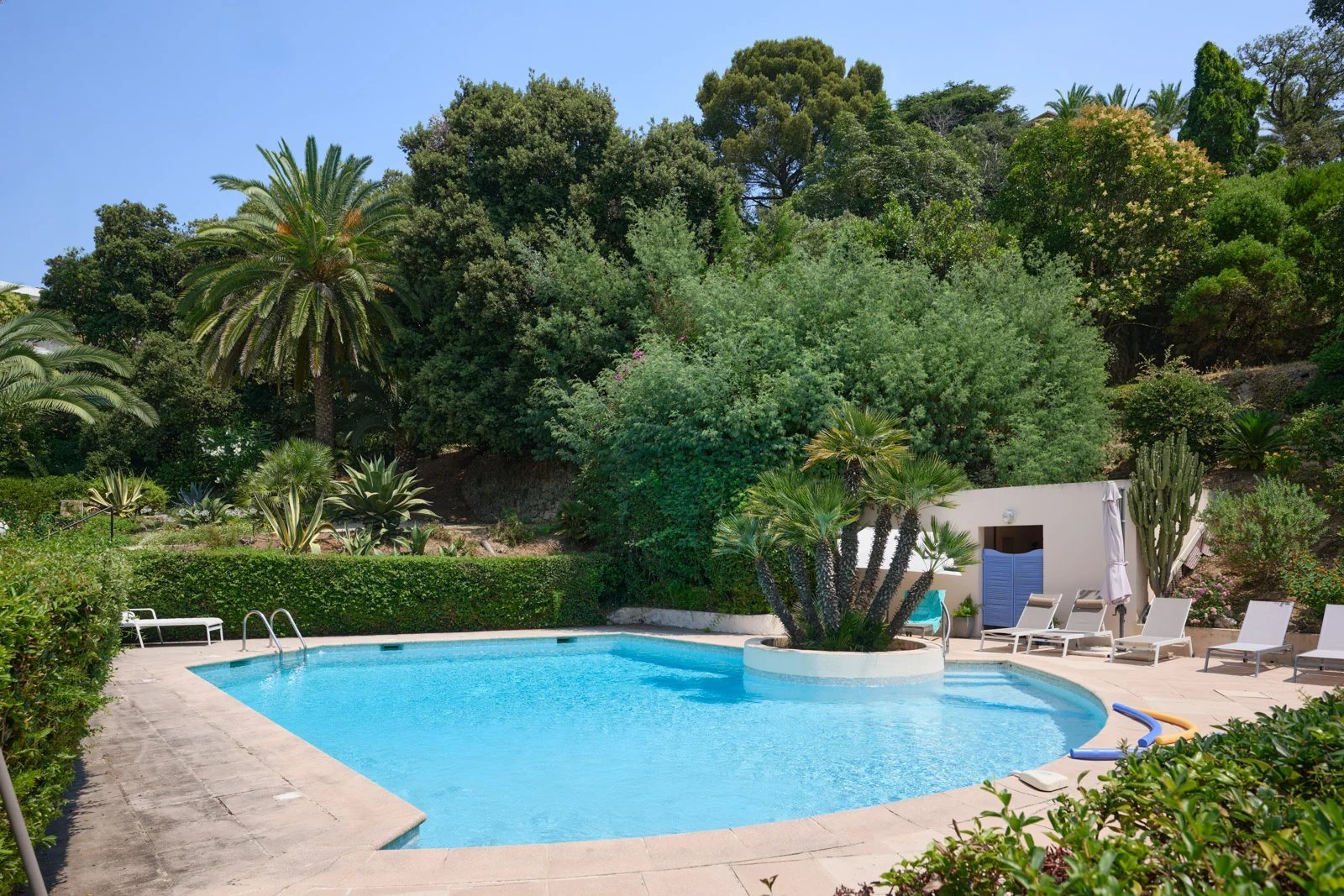Cannes (Alpes-Maritimes)