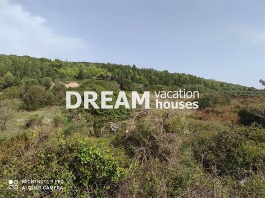 Advert pic 0