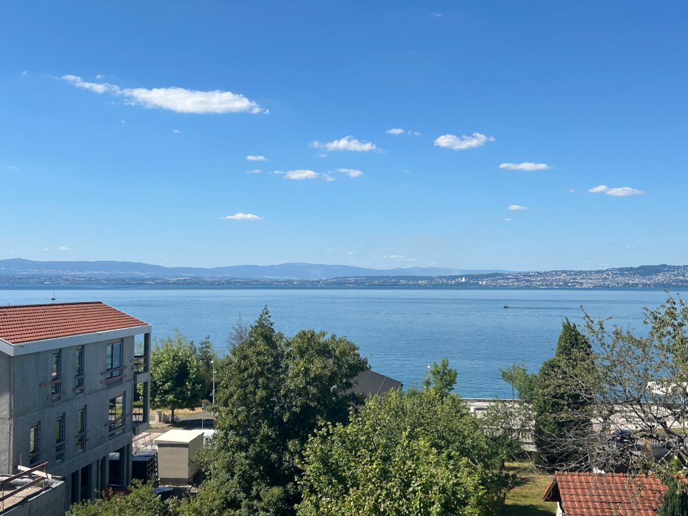 Appartement à vendre, 55m², Neuvecelle