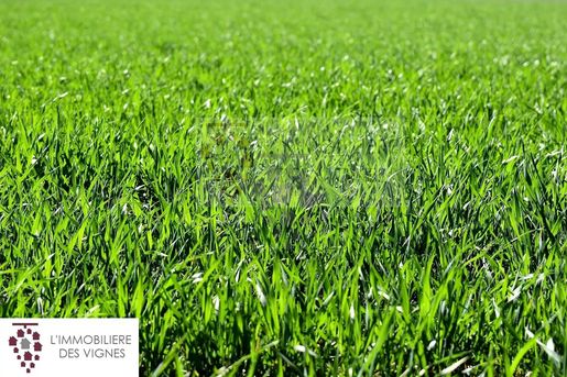 Terrain 640 m² · à Martillac · 640 m² · 159 900 €