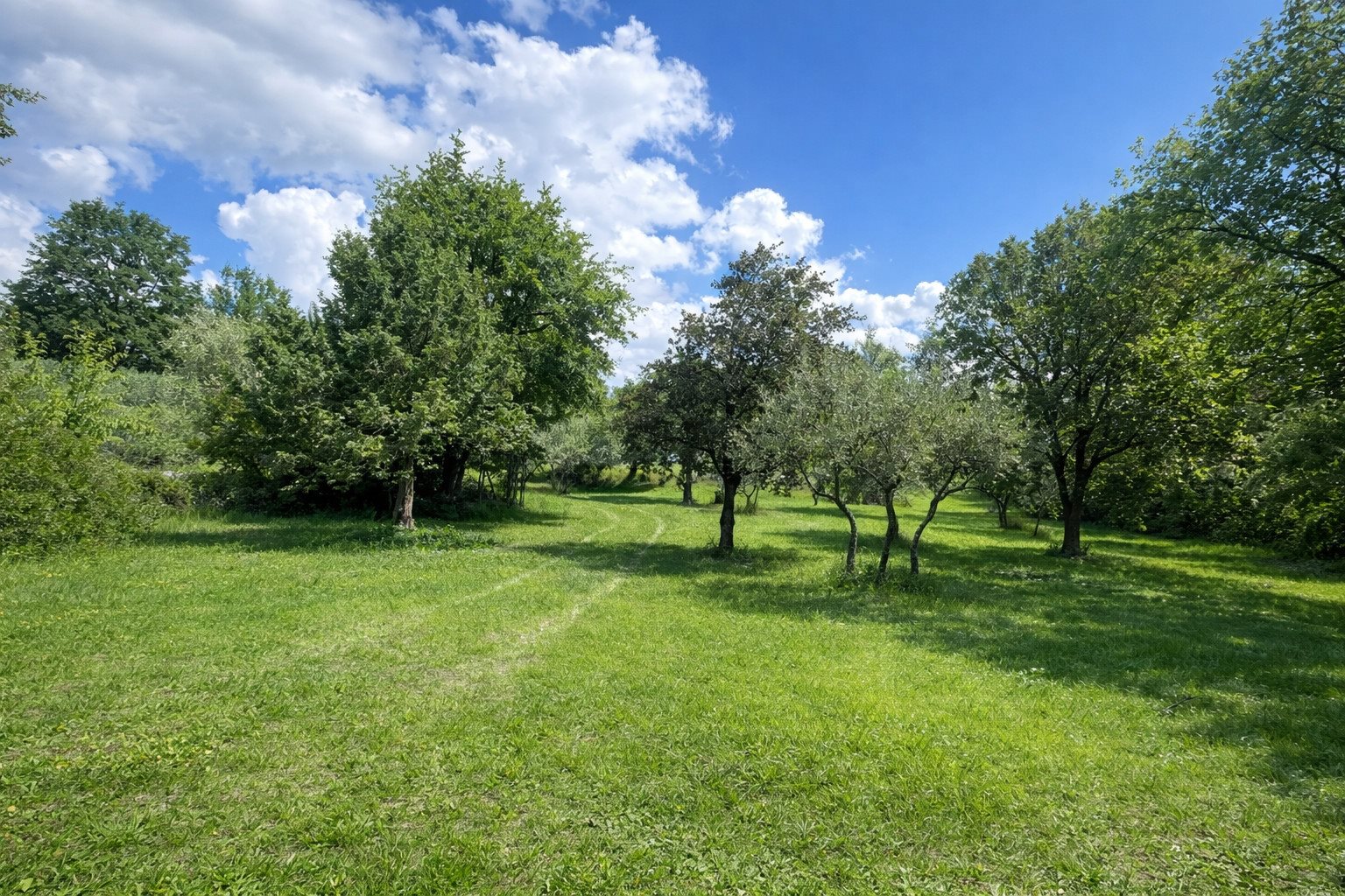 Maison à vendre, 218m², Draguignan