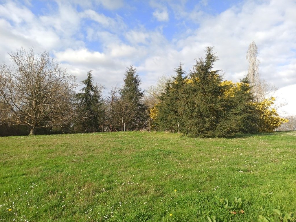 Maison à vendre, 160m², Laujuzan