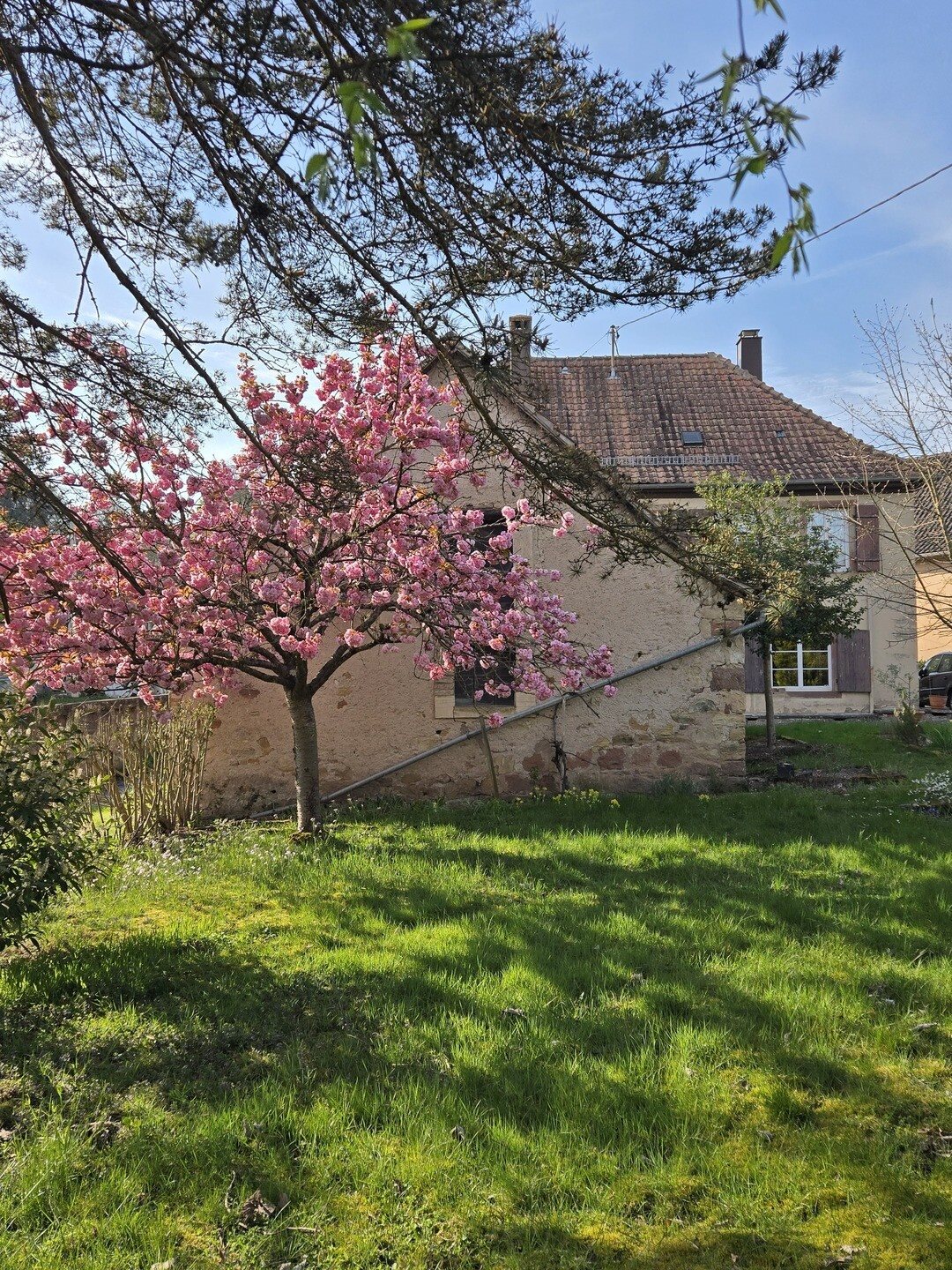 Maison à vendre, 182m², Niederhaslach