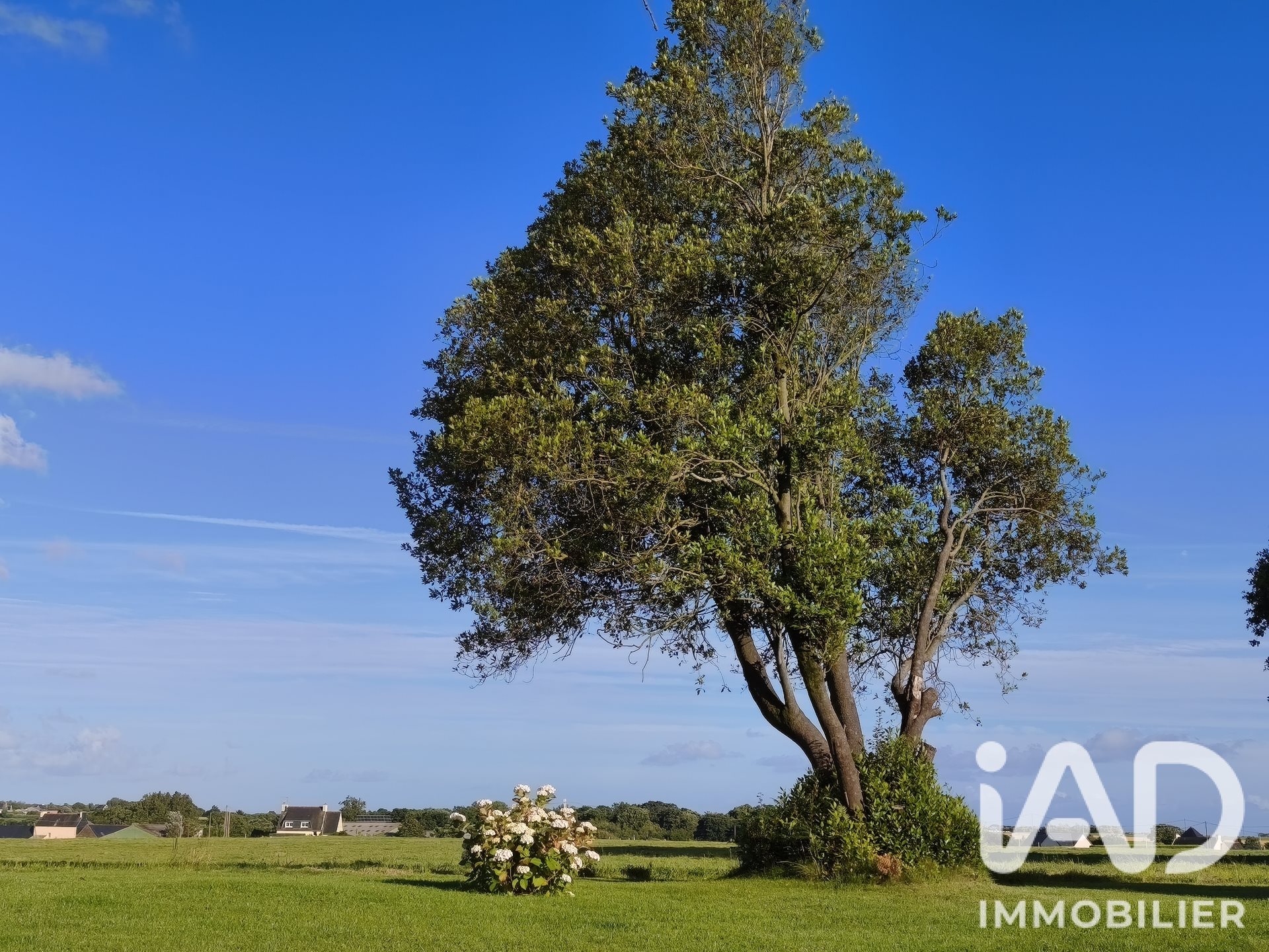 Maison à vendre, 163m², Plovan