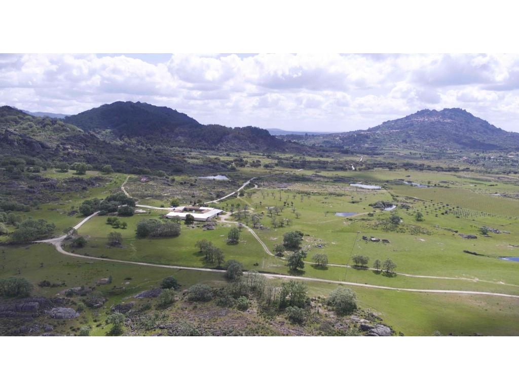 Herdade em Terreno Biológico Certificado, em Monsanto