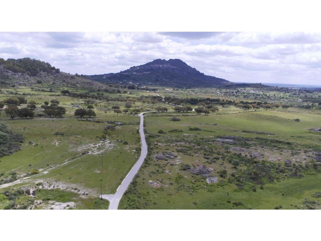 Herdade em Terreno Biológico Certificado, em Monsanto