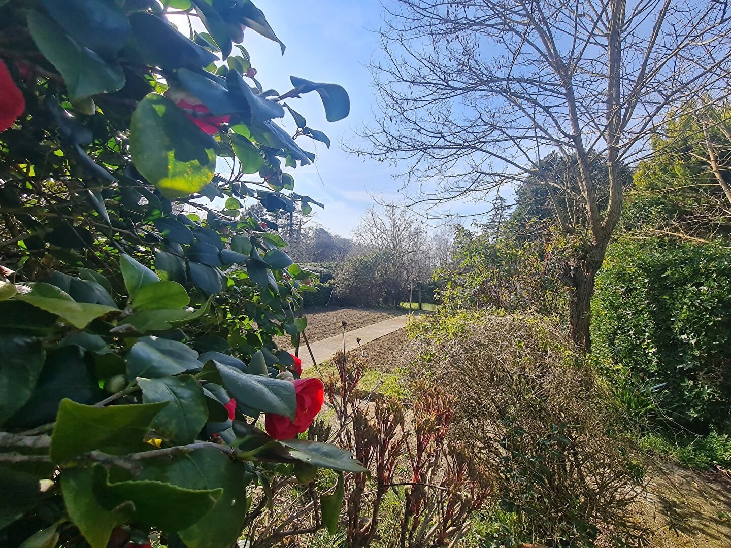 Maison à vendre, 85m², Saint-Sulpice-sur-Lèze