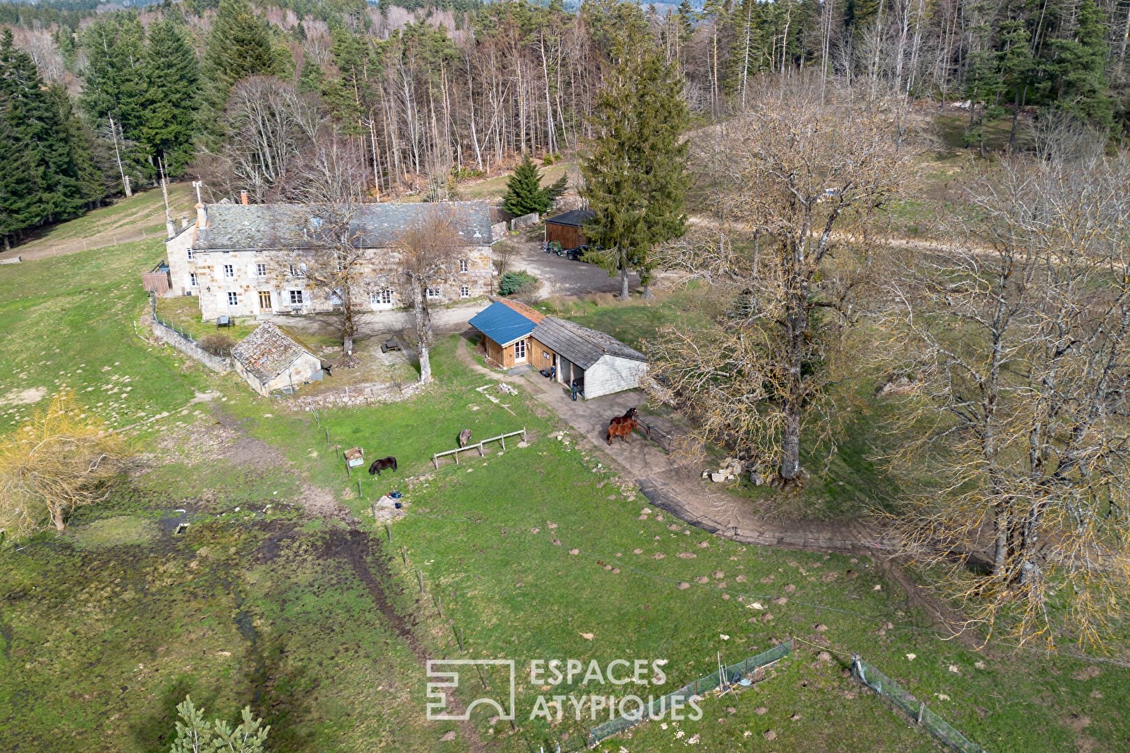 Maison à vendre, 560m², Le Chambon-sur-Lignon
