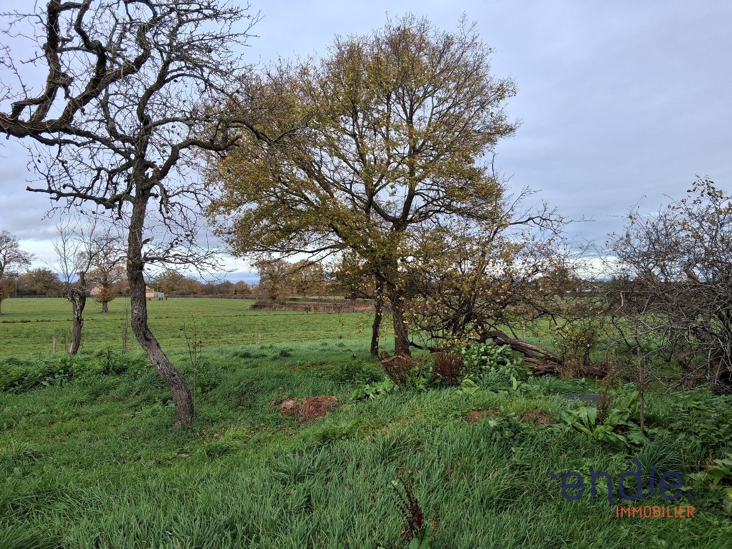 Maison à vendre, 50m², Vesdun