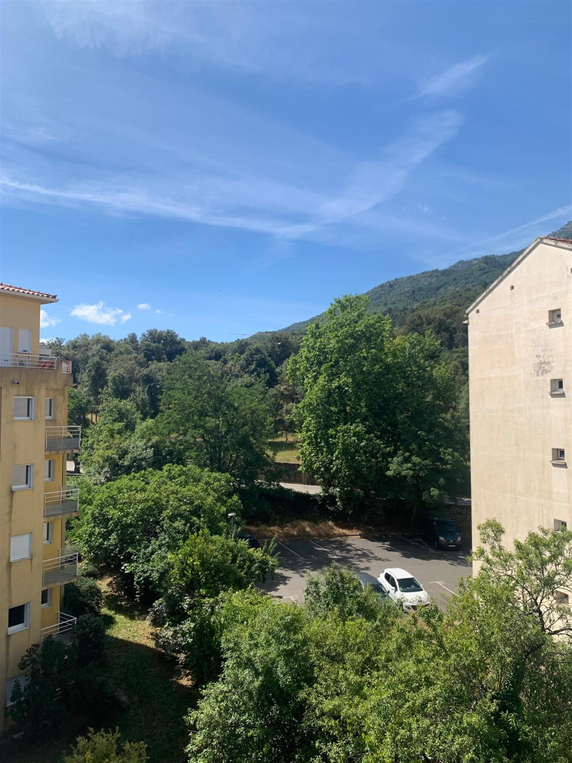 Appartement à vendre, 35m², Corte