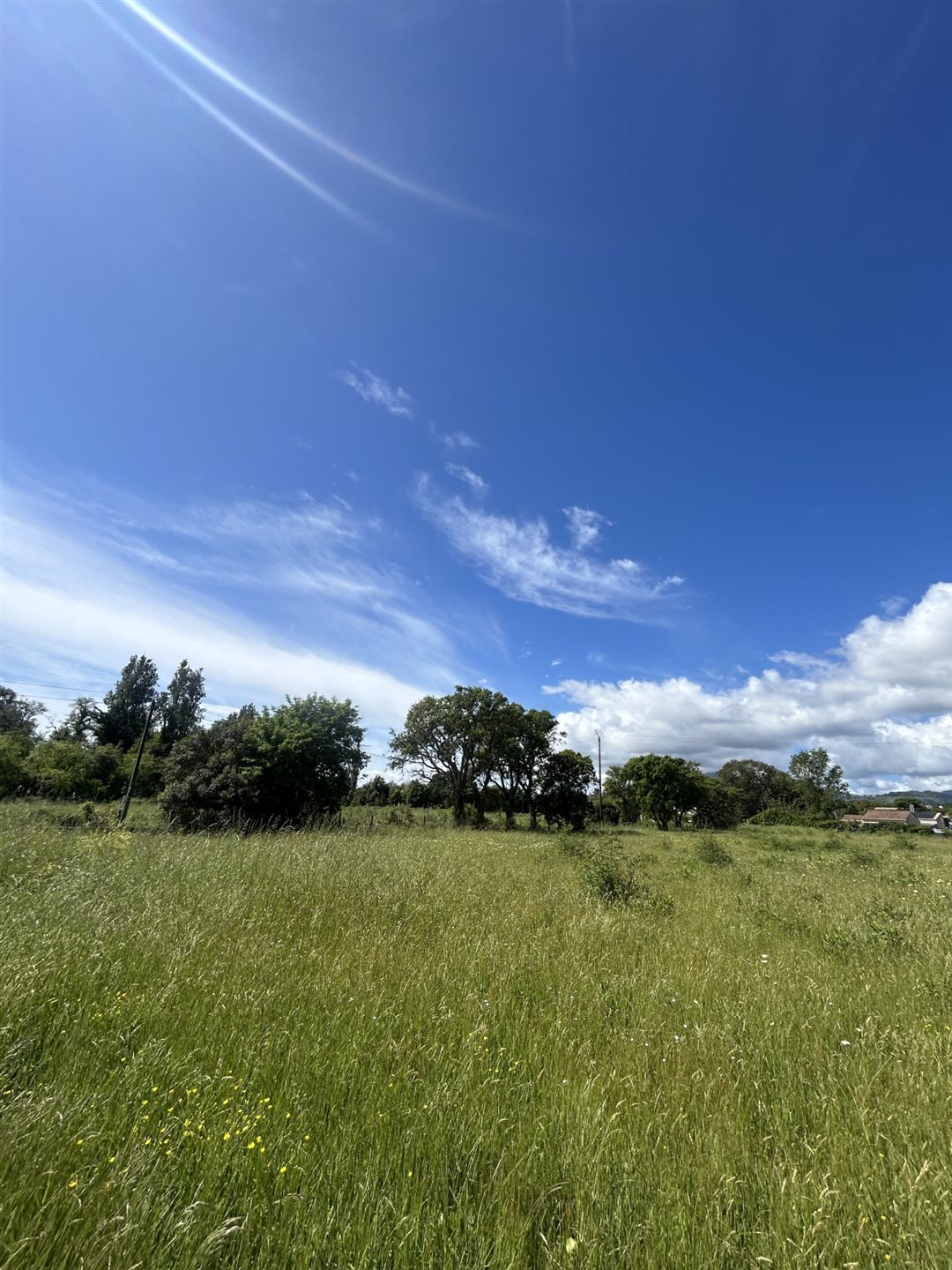 Maison à vendre, 130m², Cervione