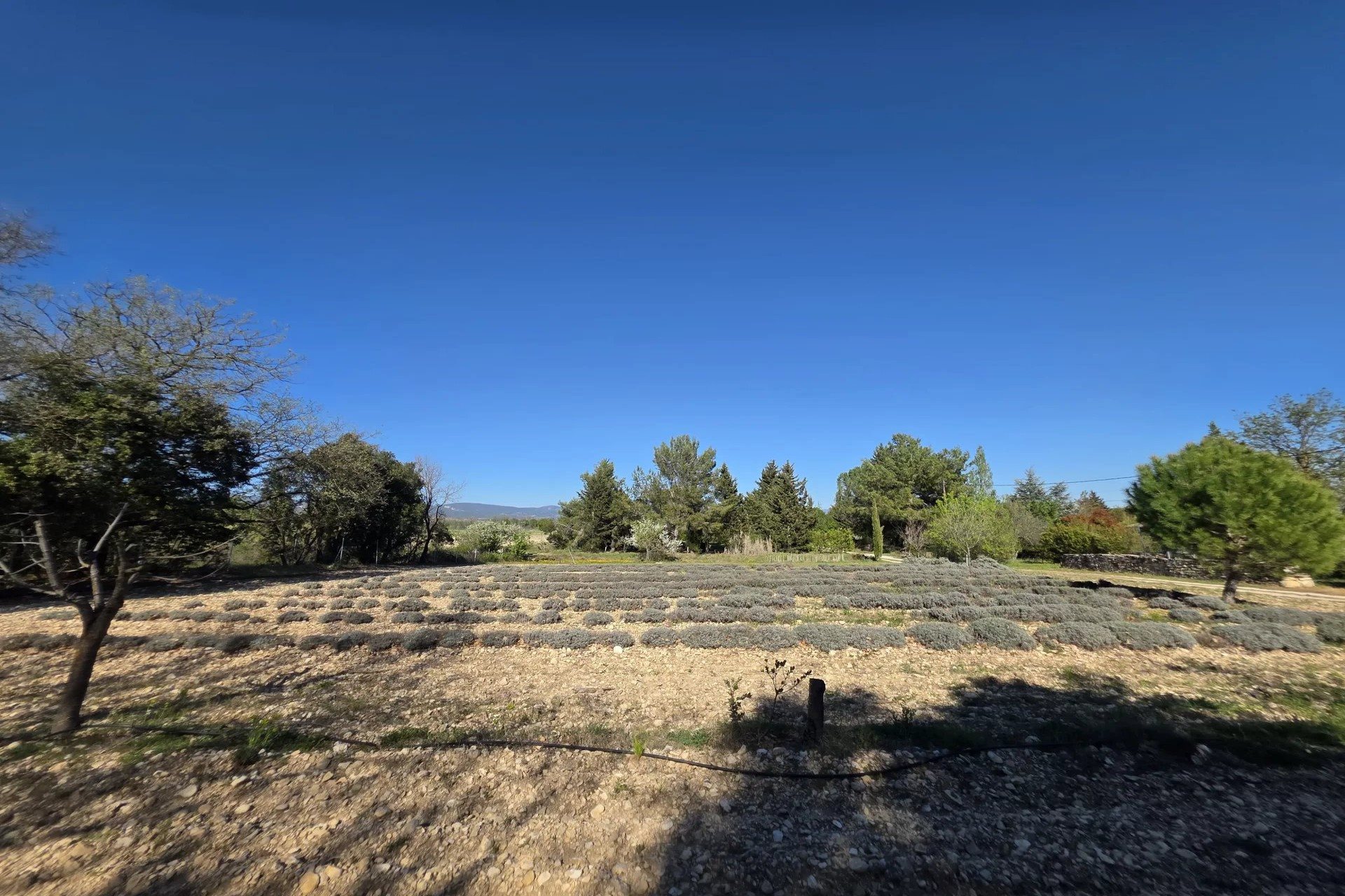 Maison à vendre, 150m², Gordes