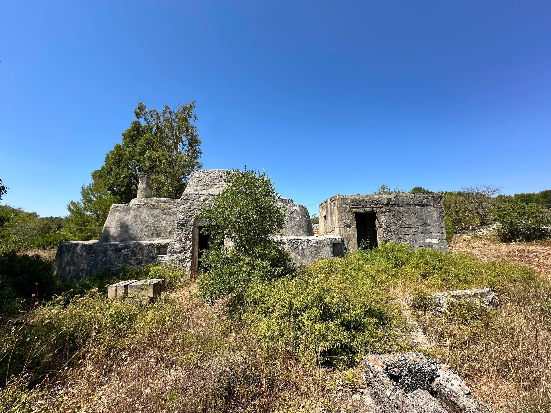 Ceglie Messapica (Brindisi) photo 3
