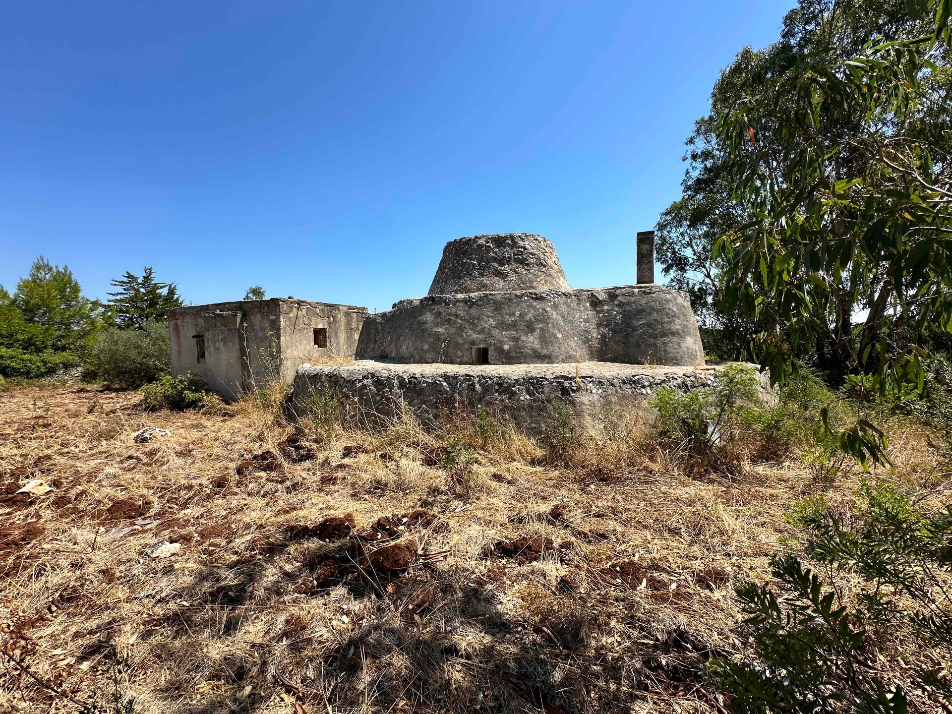 Ceglie Messapica (Brindisi) photo 4